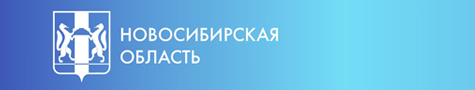 Закон Новосибирской области № 252-ОЗ
