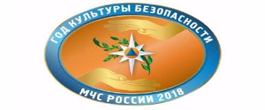 2018 год объявлен в МЧС России Годом культуры безопасности