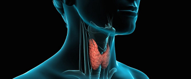 25 мая — Всемирный день щитовидной железы