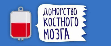 «Научные вечера в Кольцово» приглашают на лекцию о донорстве