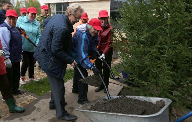 На Аллее мира в Кольцово будут высажены деревья памяти