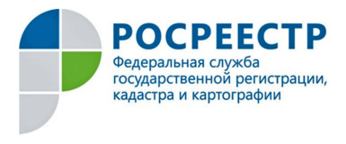 Росреестр огласил регионы, в которых новосибирцы чаще всего покупают жильё