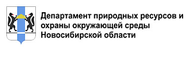 Отчетность субъектов малого и среднего предпринимательства