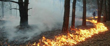 Жителям наукограда напоминают об опасности пожаров