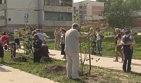 Акция - Древо семьи